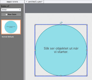 Object state, Adobe Captivate. Skjermbilde.