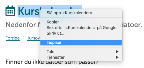 Inspiser, Chrome. Skjermbilde.