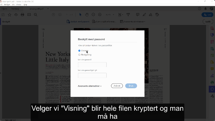 Passord-beskytt - Adobe Acrobat
