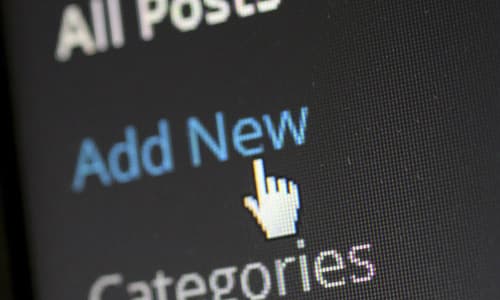 WordPress workshop