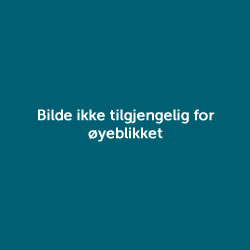 Tom Helge Berglie. Foto.