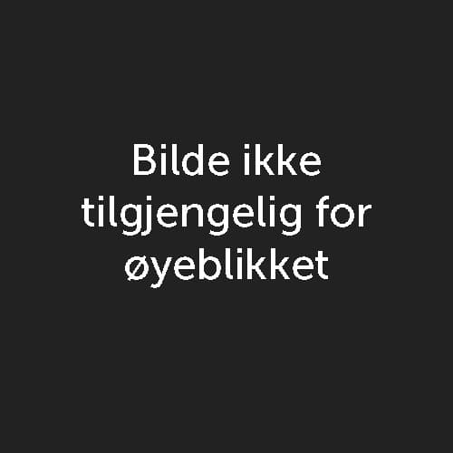 Tasle Knapstad. Foto.